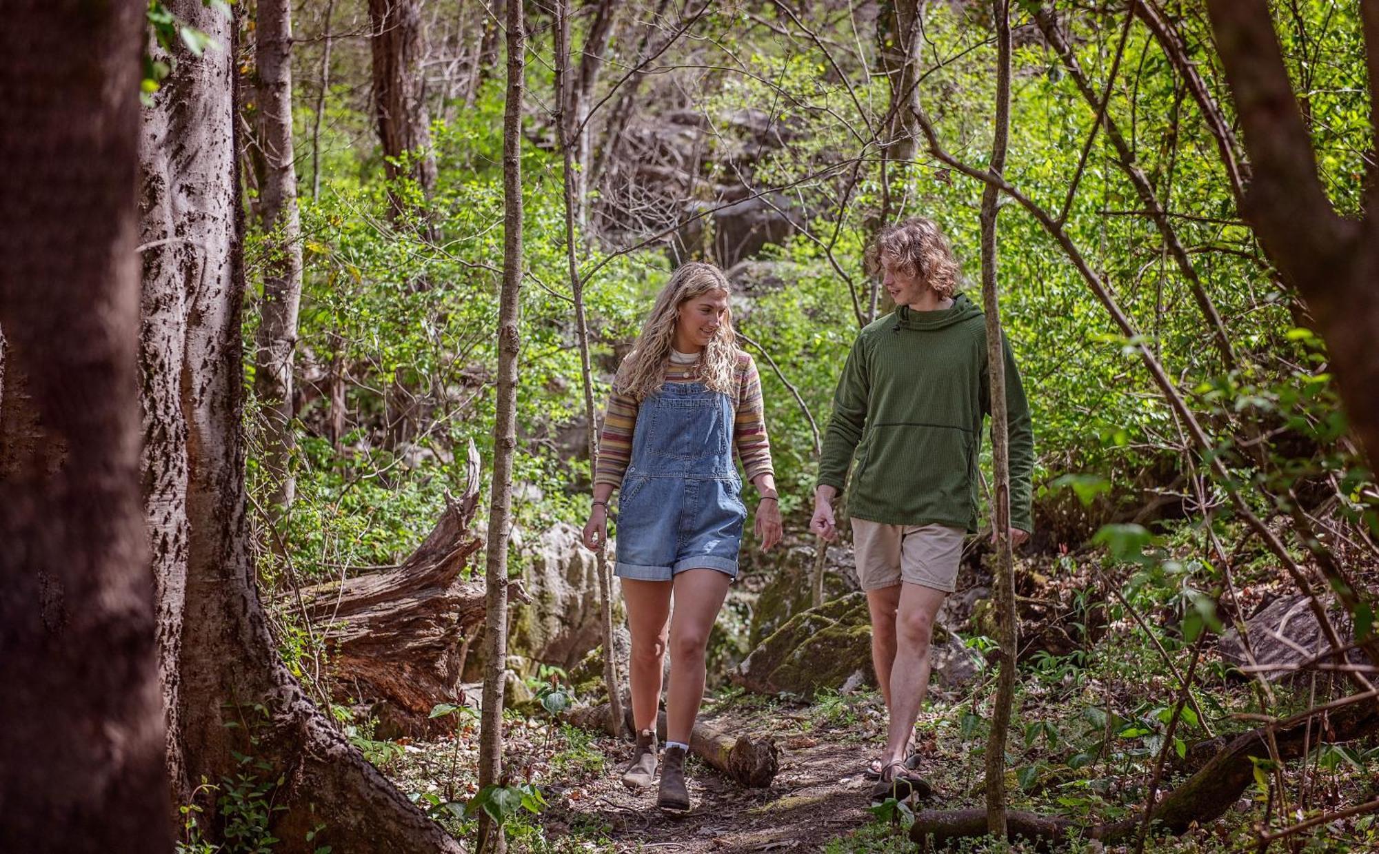 Meg Cabin Tiny Rustic Comfort On Lookout Mtn Chattanooga Eksteriør billede